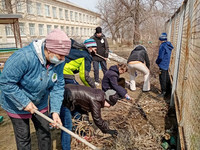 Экологическая акция